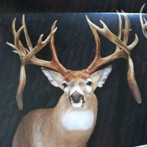 Meet your Posher, Tim